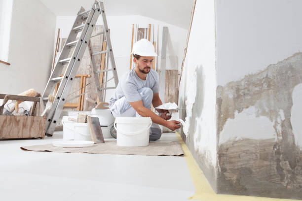 Trusted Meadowood, PA Mold Removal Experts